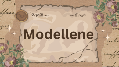 modellene