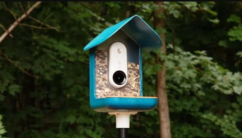 Bird Feeder Camera