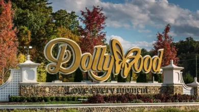 Dollywood Theme Park closure